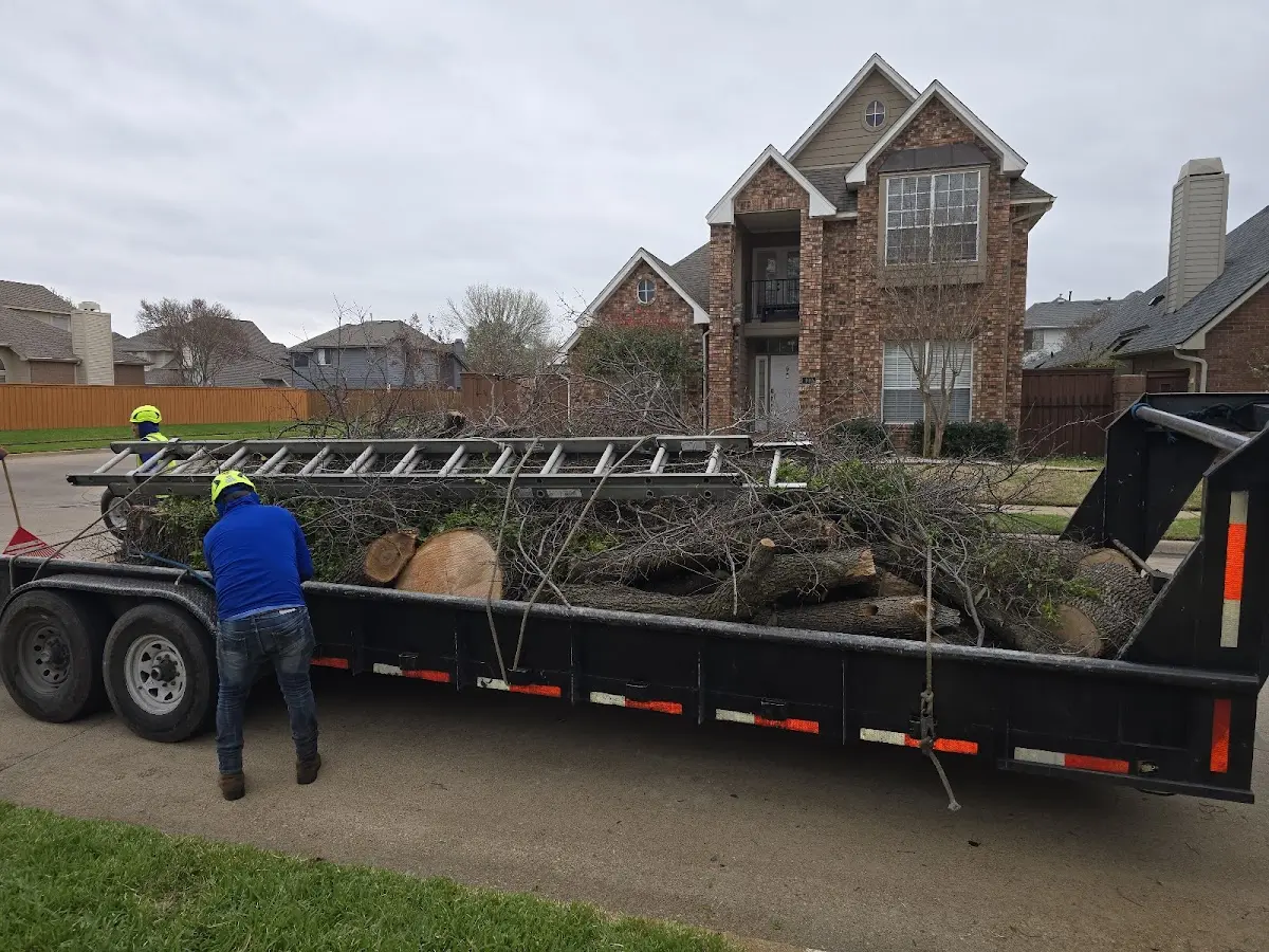 Expert Tree Fertilization with proper safety equipment in Ohiopyle